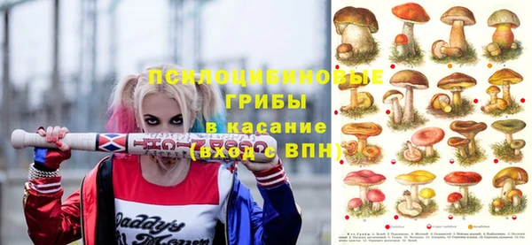 a pvp Алзамай