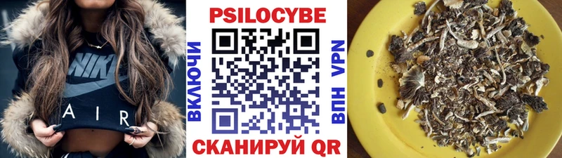 купить наркотики сайты  Асино  Псилоцибиновые грибы Cubensis 